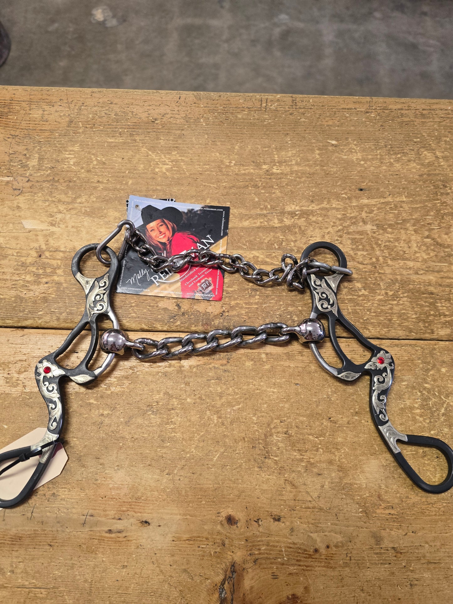 NEW Molly Powell Chain Bit/Gag