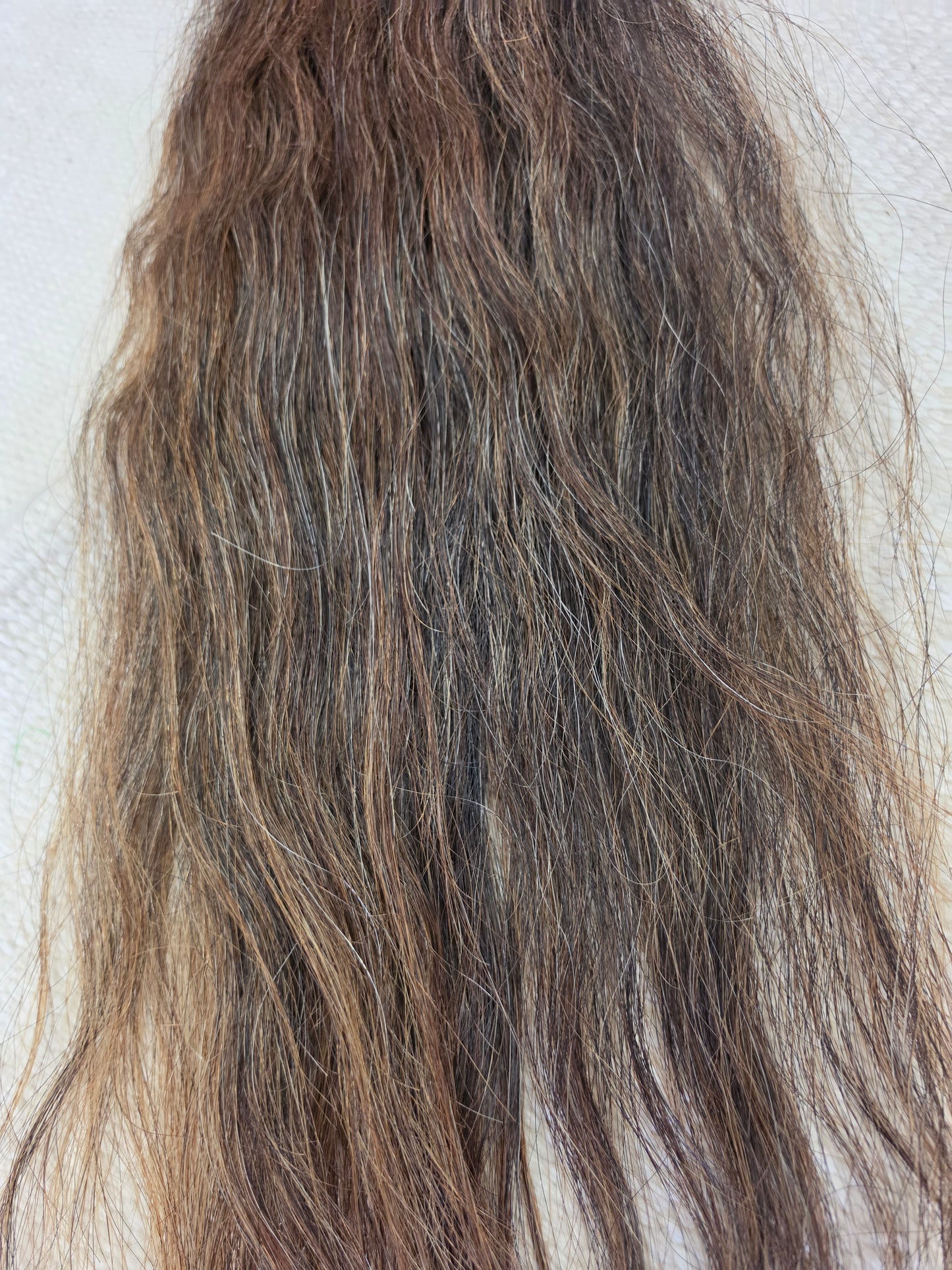 Sorrel Show Tail-Grommet Style