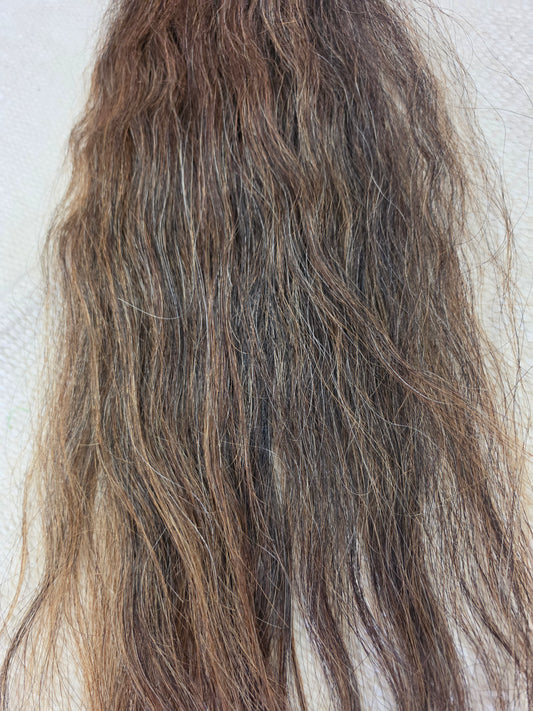 Sorrel Show Tail-Grommet Style