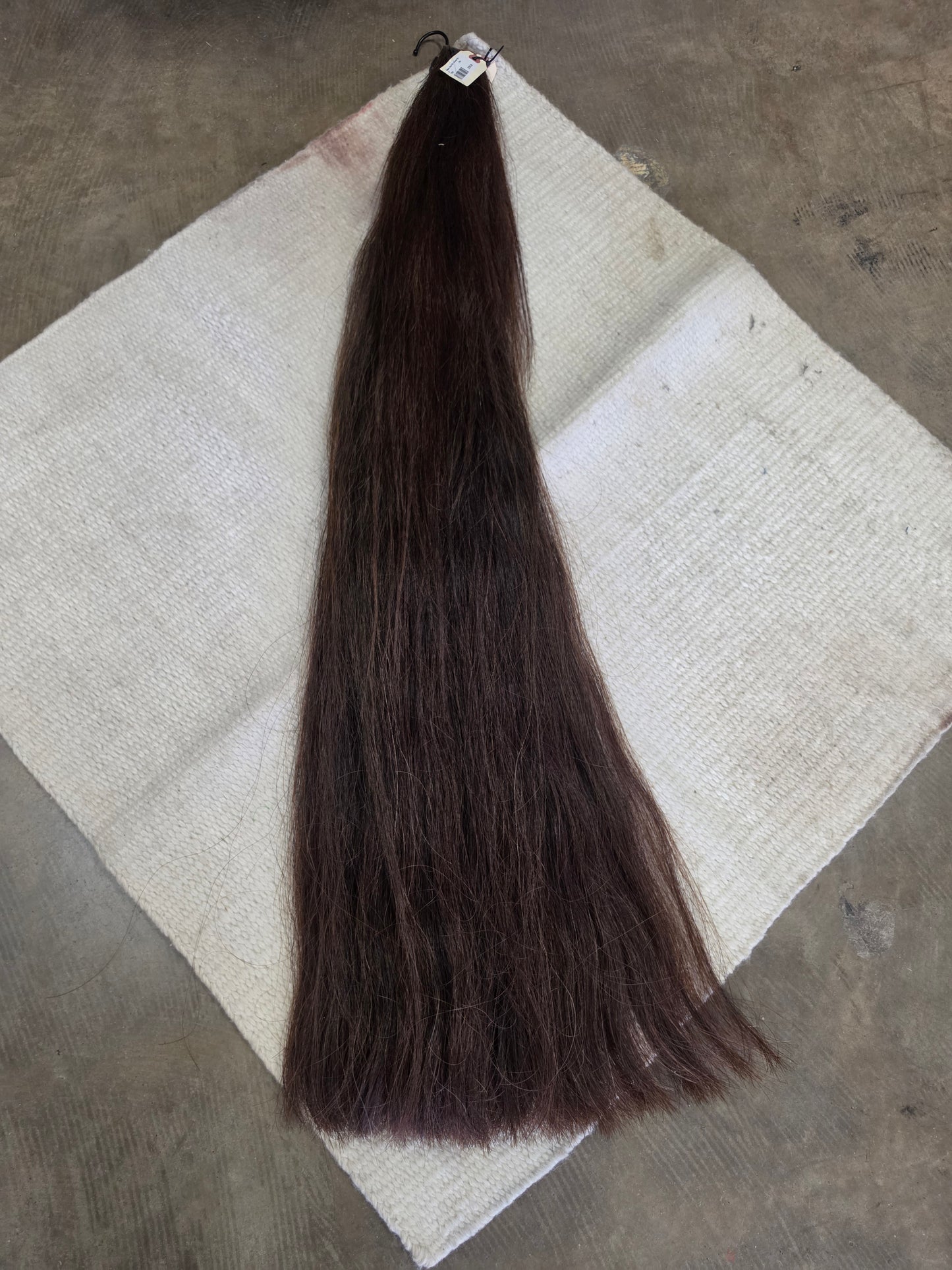 Chestnut Show Tail-Grommet Style