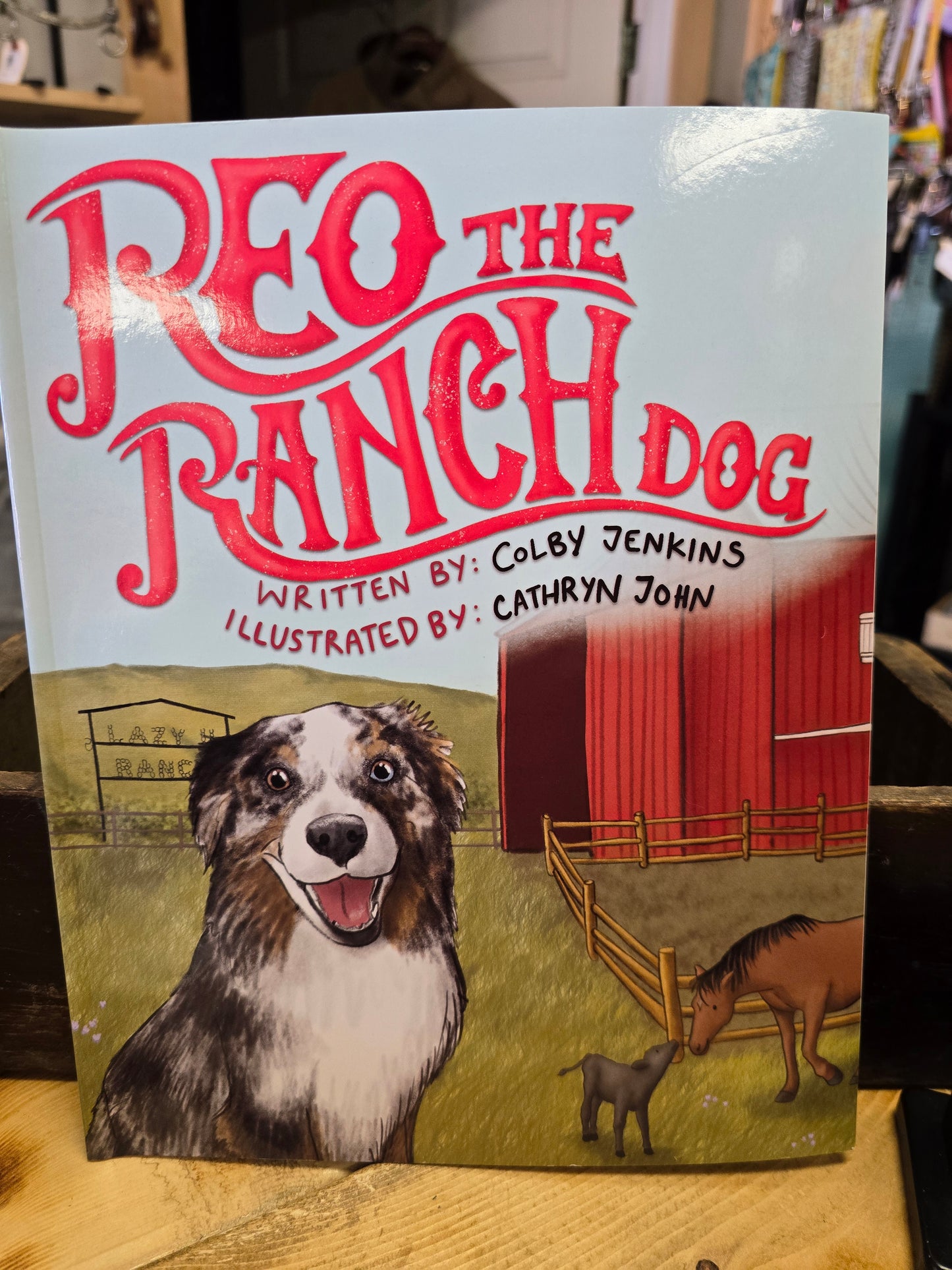 Reo the Ranch Dog
