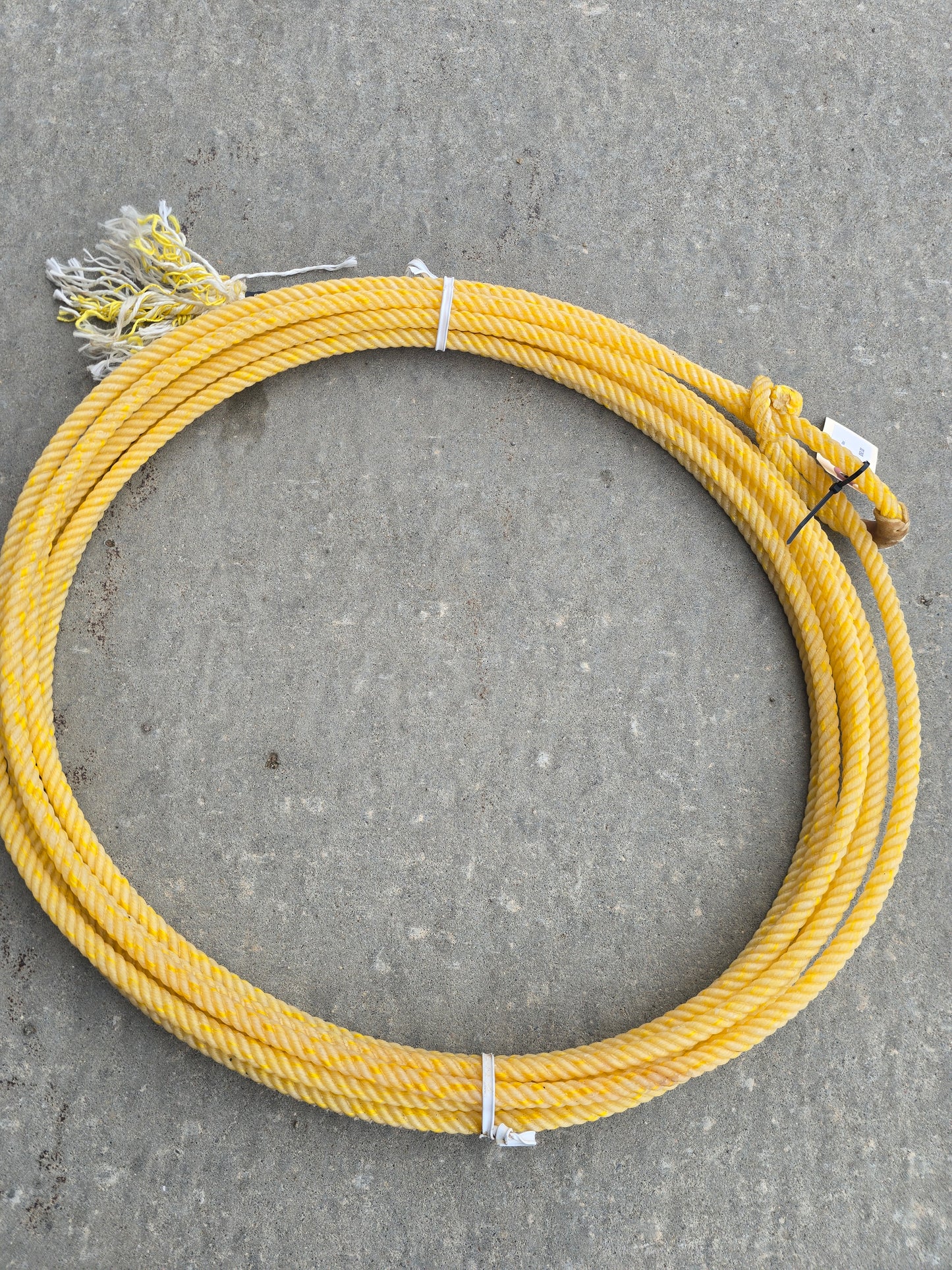 NEW Saturday Nite Special                   Head Rope (30ft)