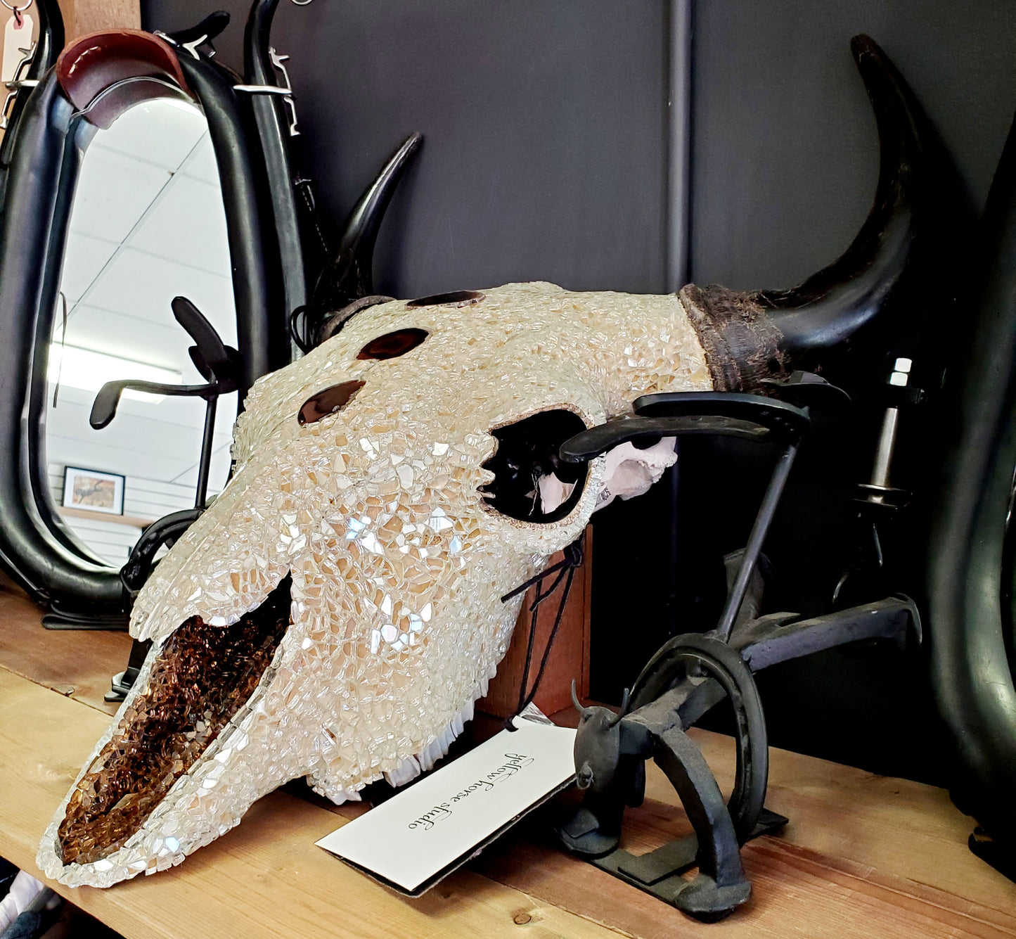 Desert Outlaw Bison Skull