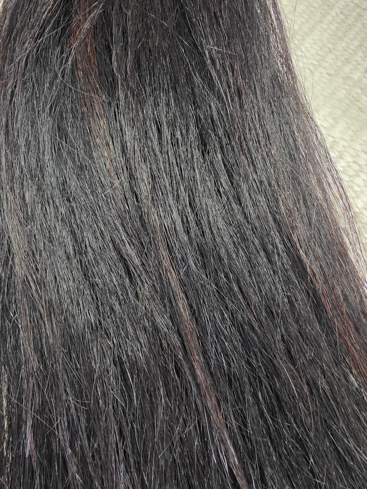 Black Show Tail-Grommet Style