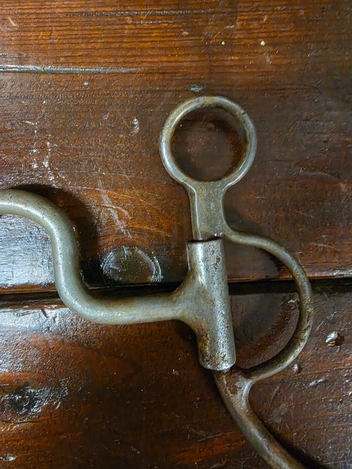 High Port Shanked Bit