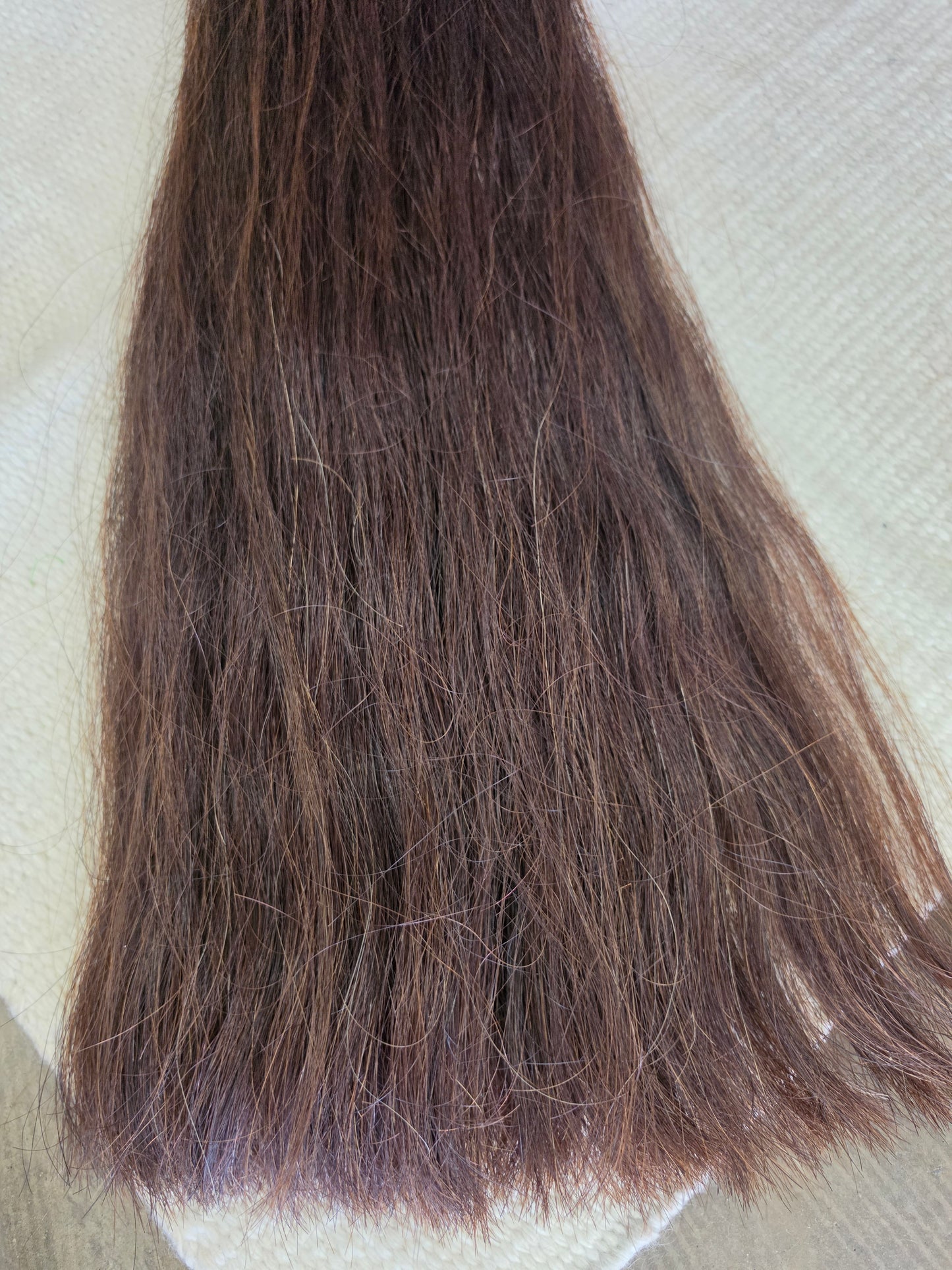 Chestnut Show Tail-Grommet Style