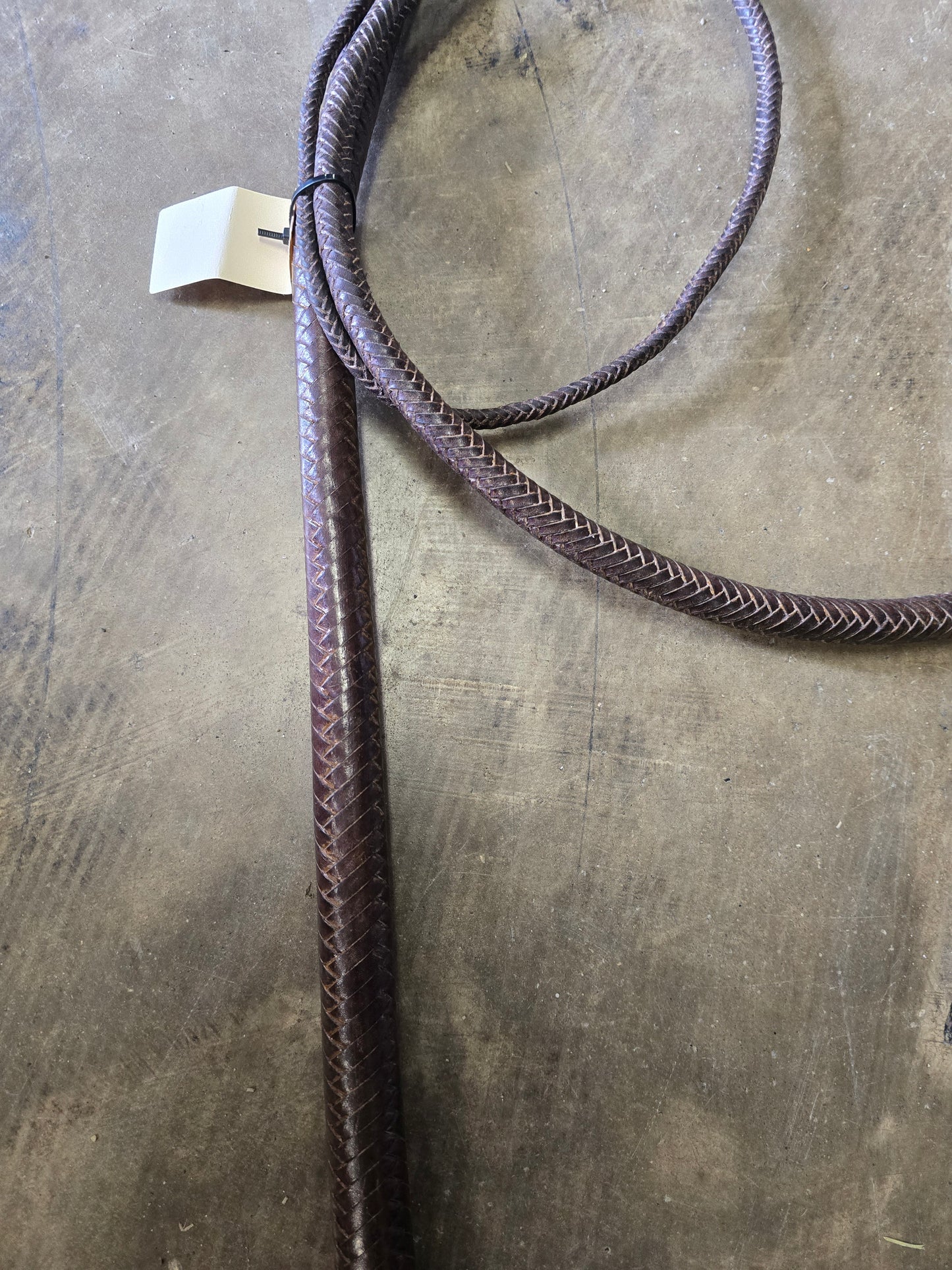 Braided Stock Whip/Bull Whip