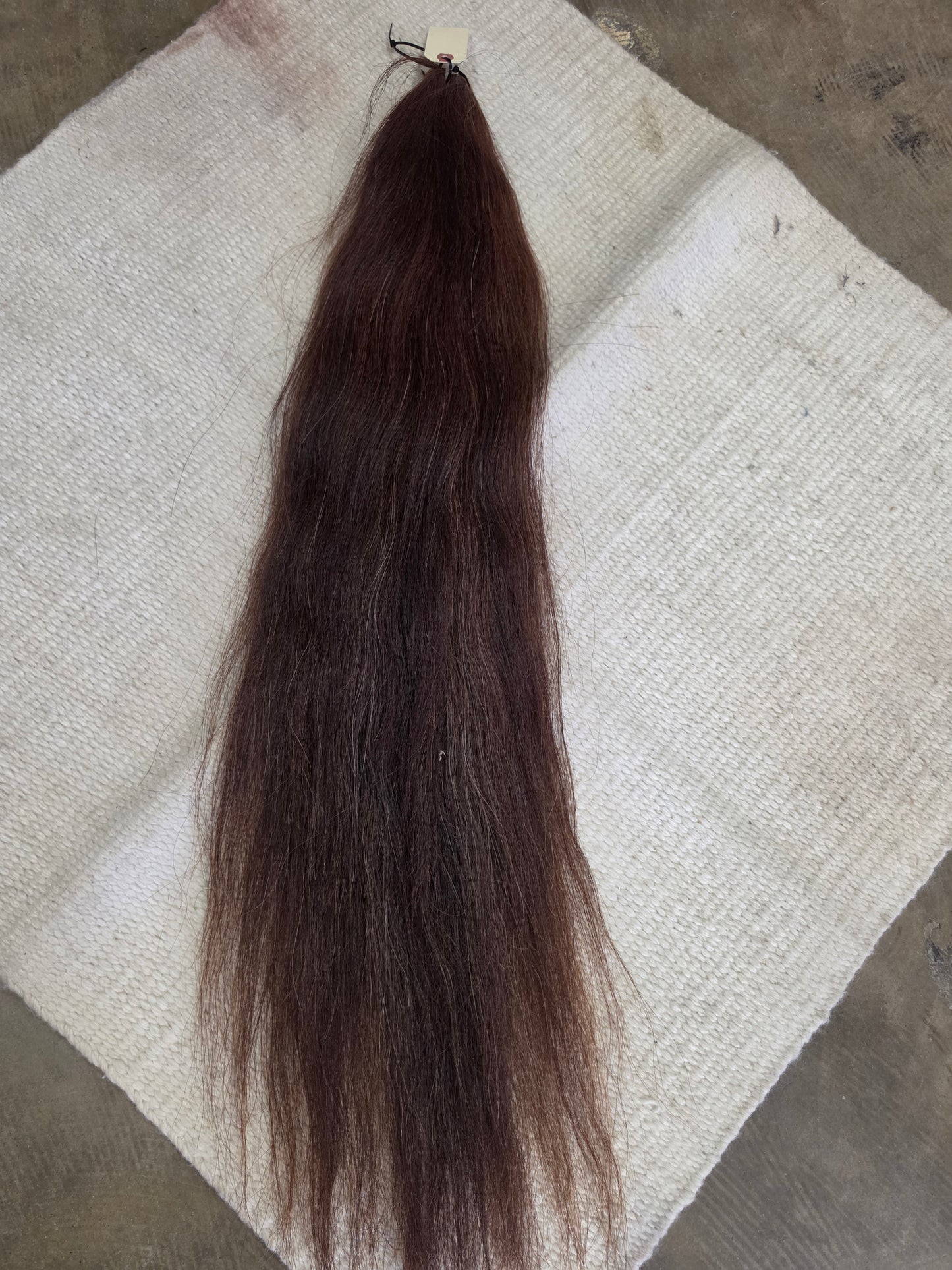 Sorrel Show Tail-No Grommets