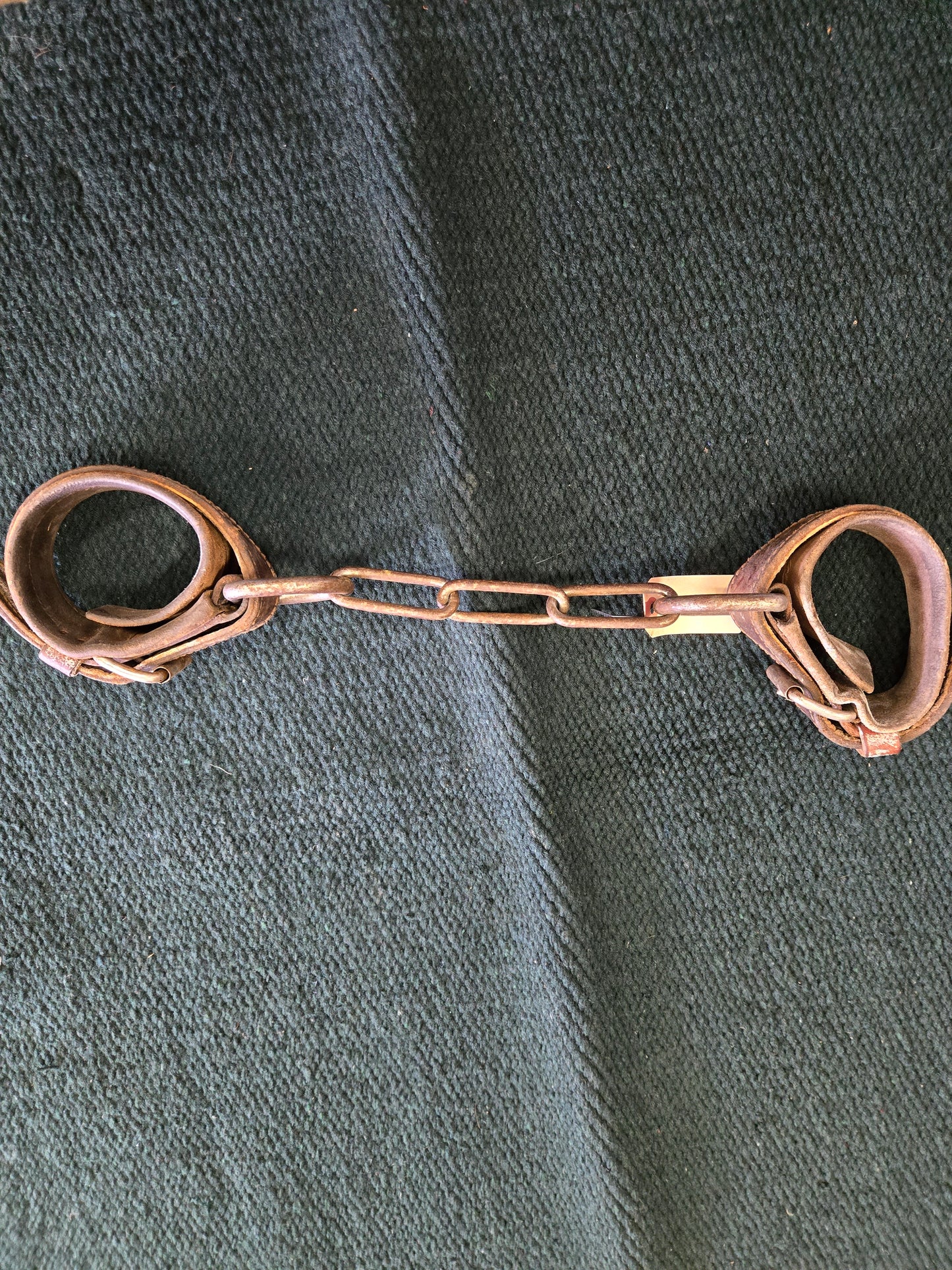 Leather & Chain Hobbles