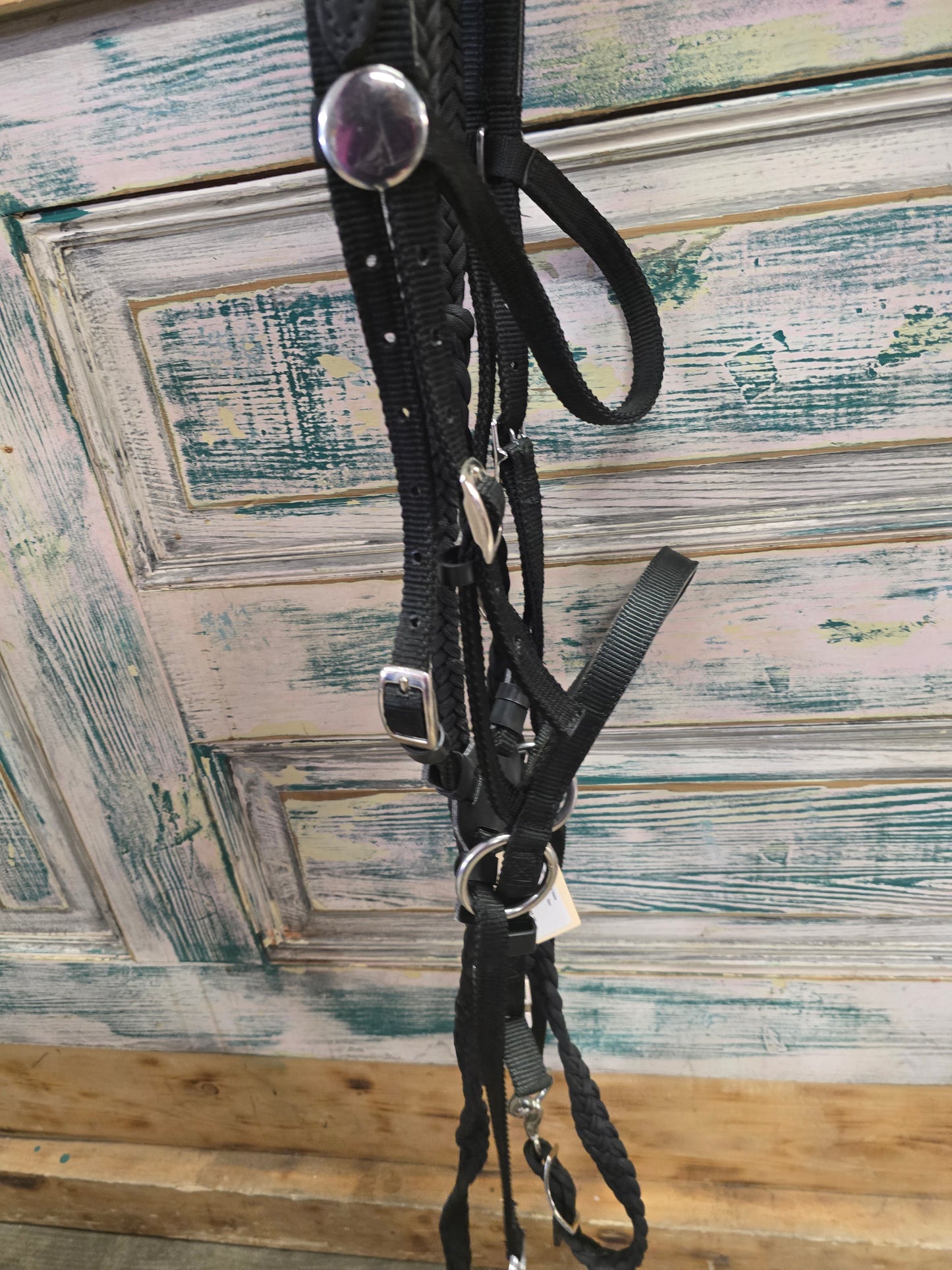 Bitless Bridle Set Up w/ Reins