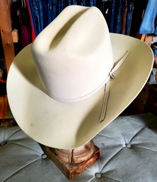 20 X Beaver/ Silver Belly Hat