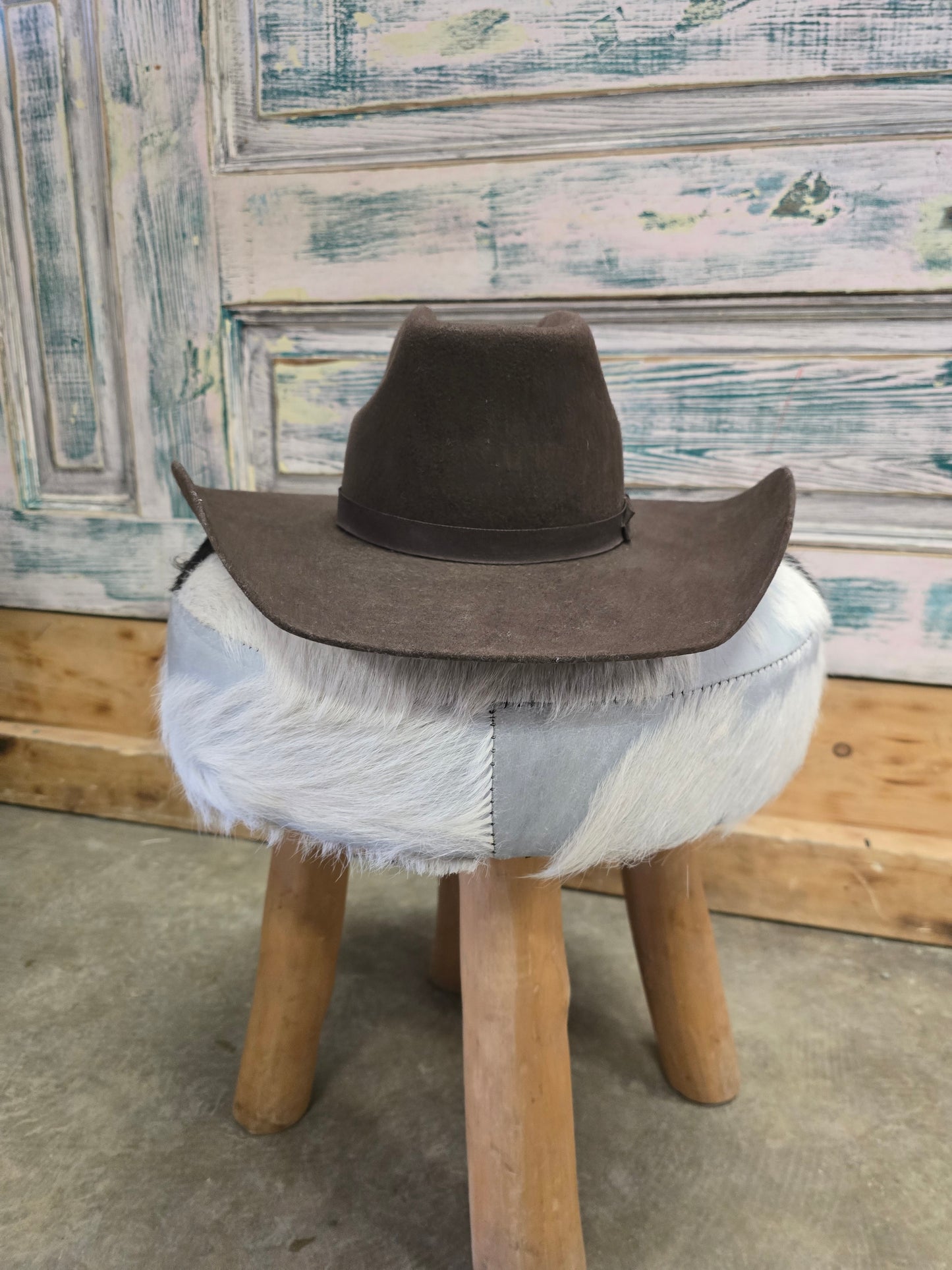 Youth Brown Wool Felt Hat