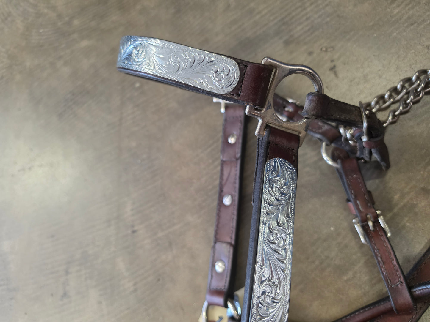 Leather Show Halter