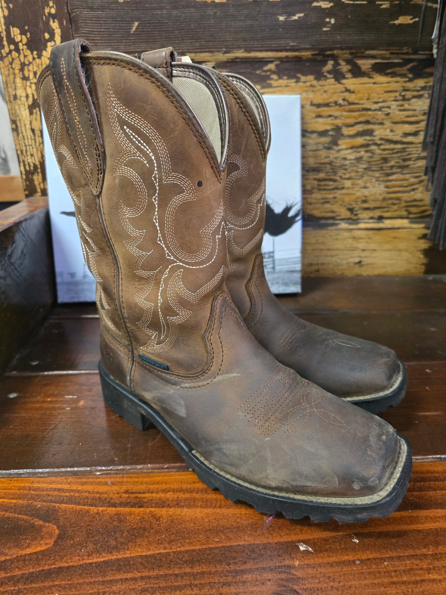 Ladies Ariat Sq. Toe Boots