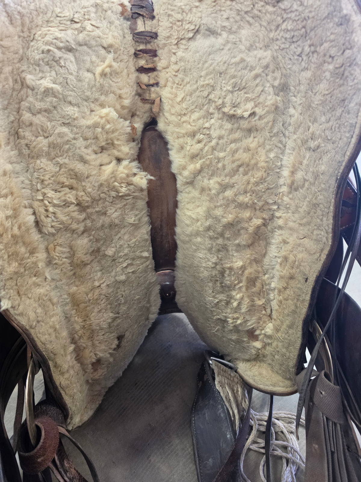Mawson Bros. Ranch Saddle (14)