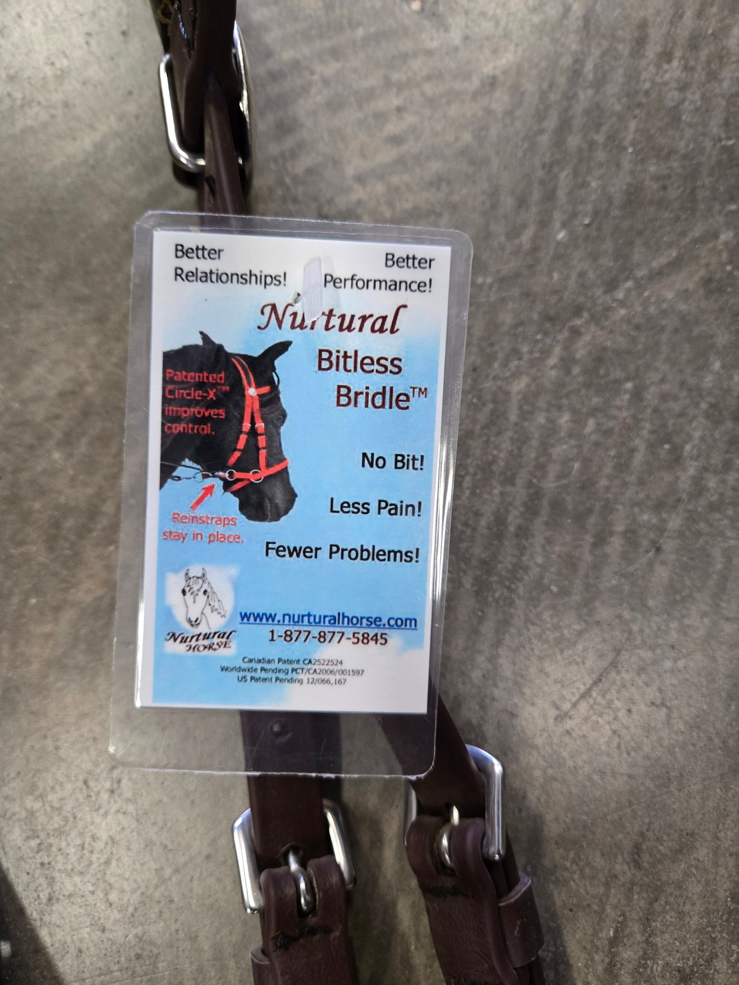 NEW Durable Beta Bitless Bridle