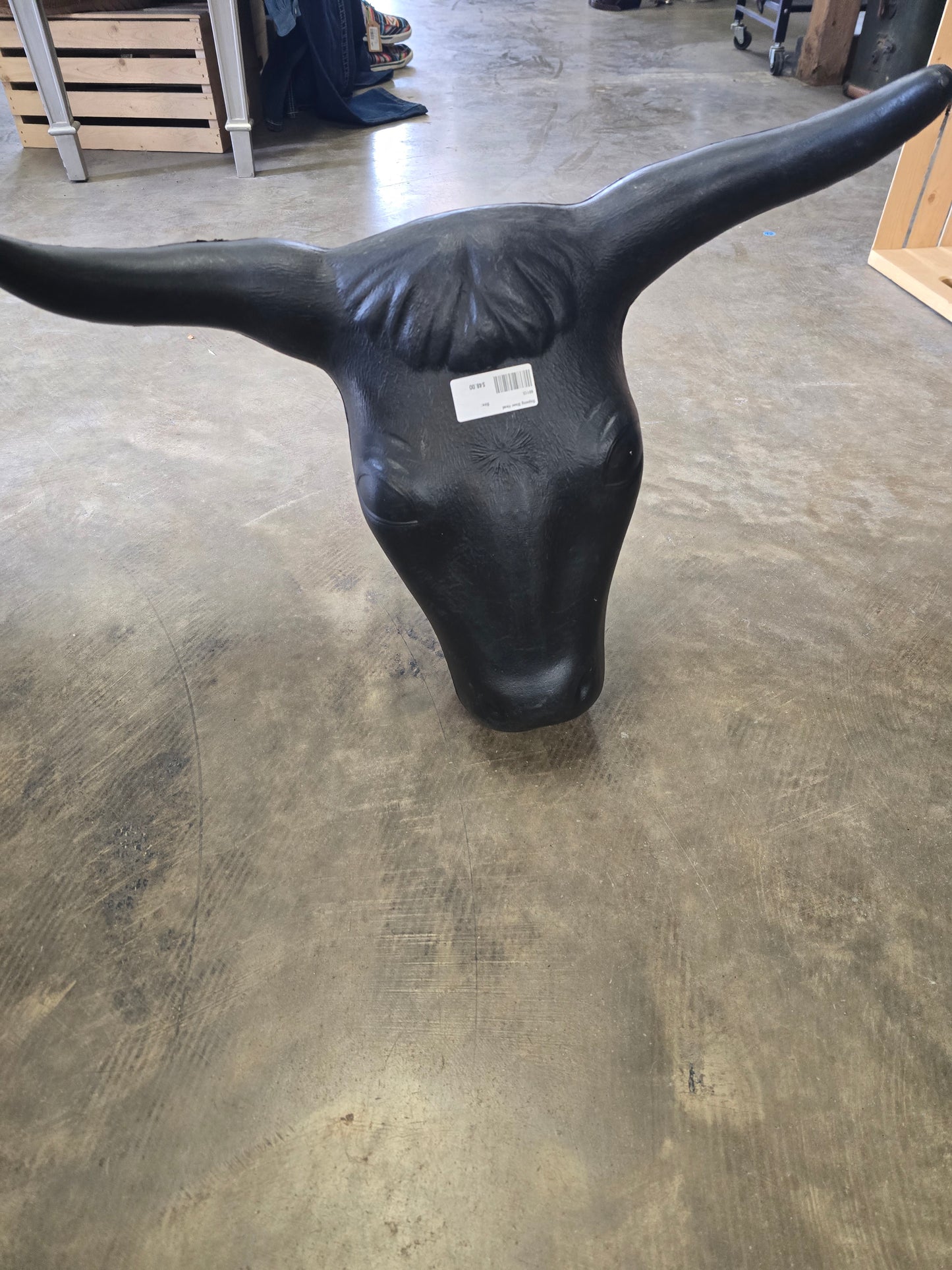 Roping Steer Head