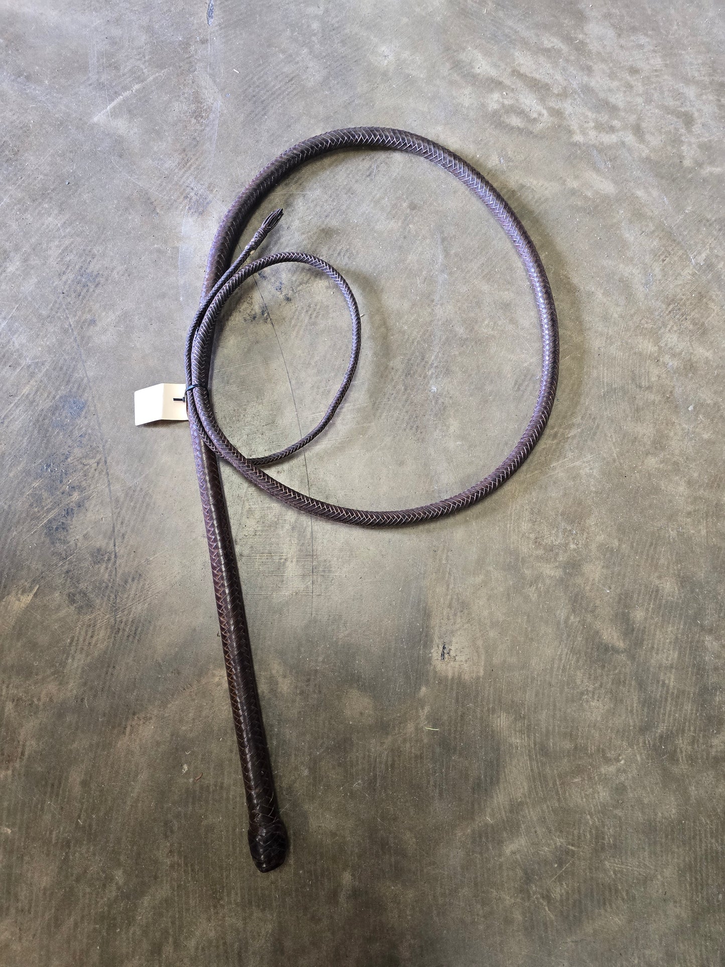 Braided Stock Whip/Bull Whip
