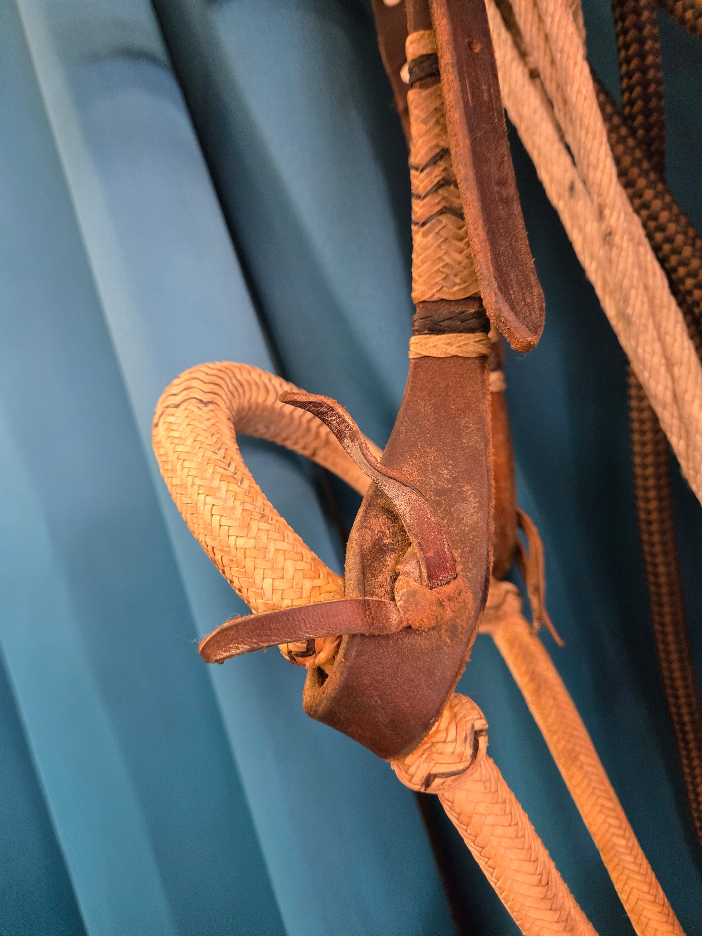 Bosal w/ Brown Yacht Mecate