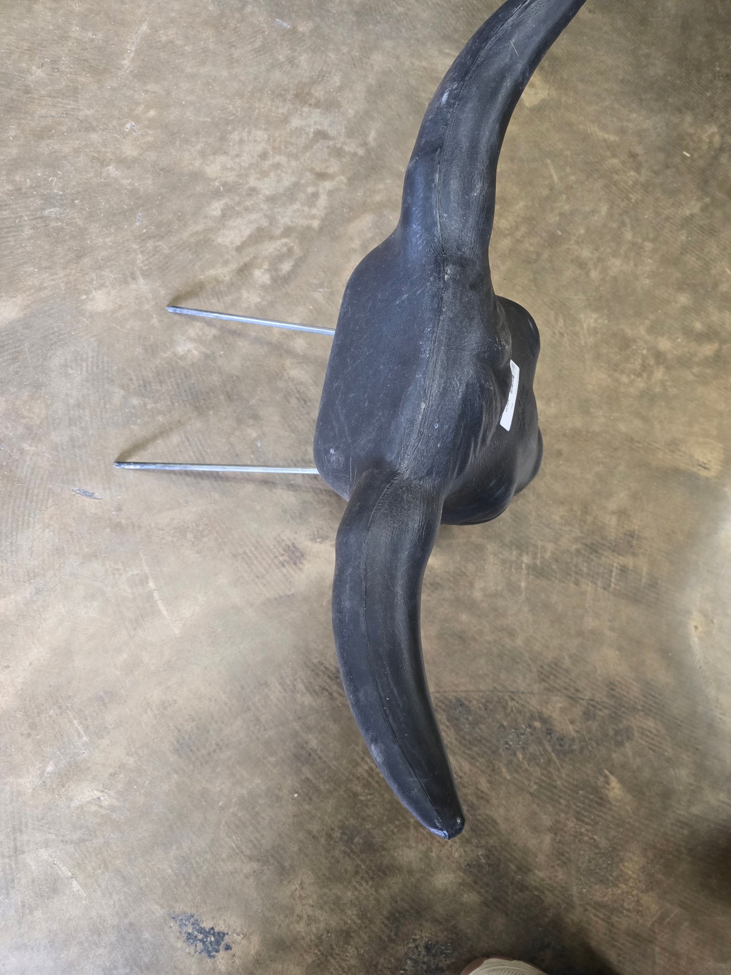 Roping Steer Head