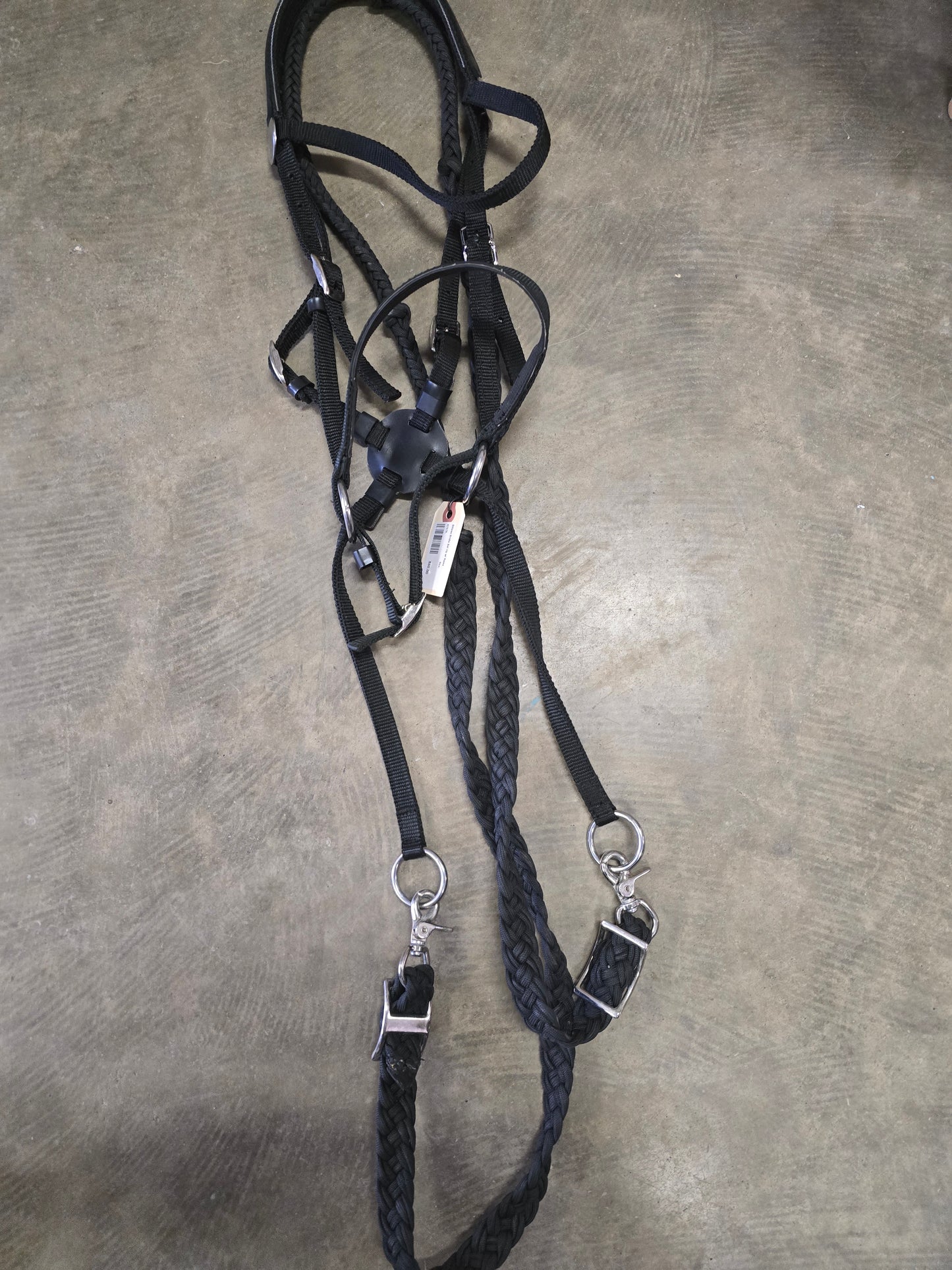 Bitless Bridle Set Up w/ Reins