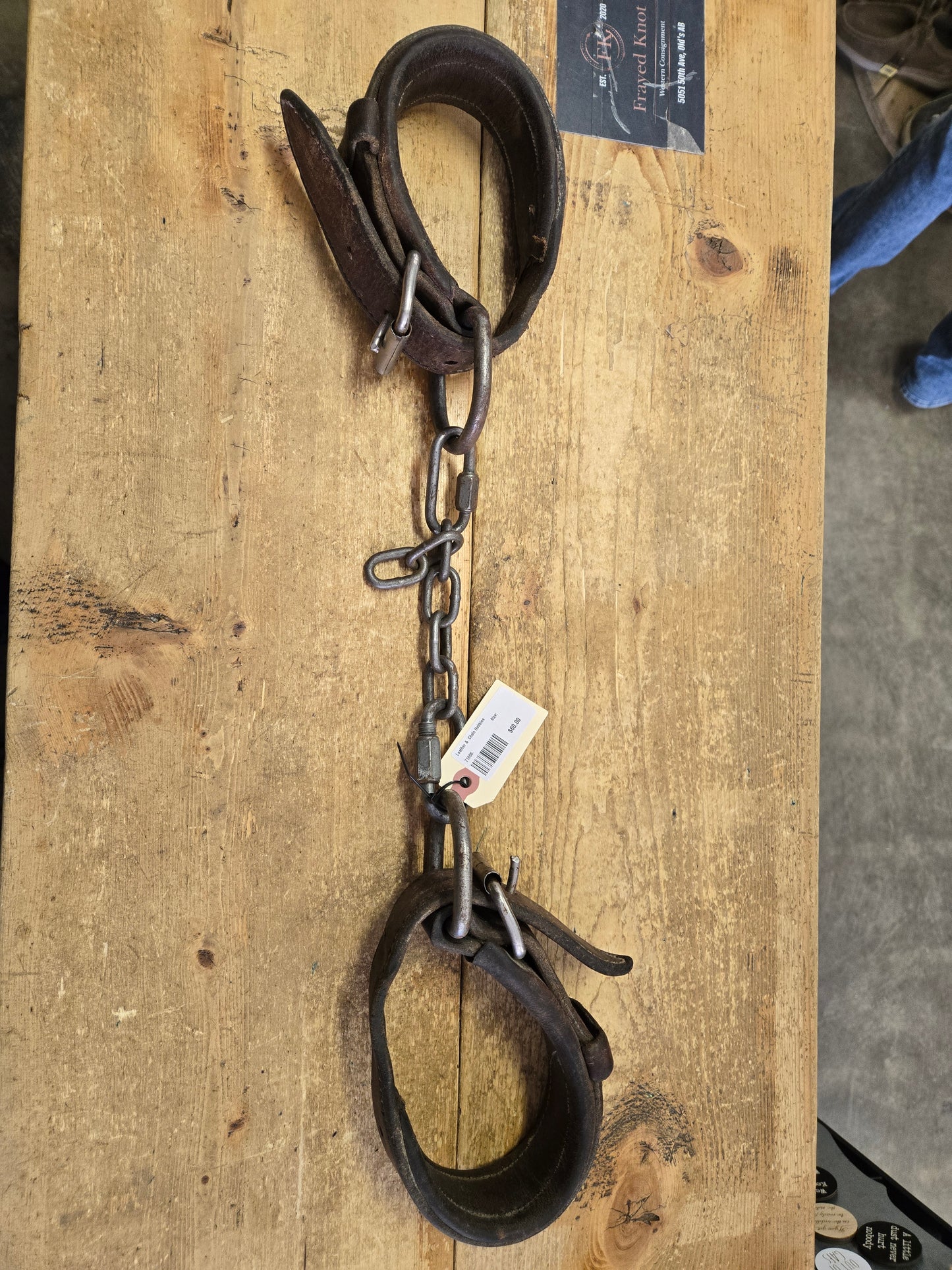 Leather &  Chain Hobbles