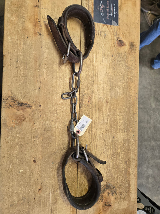 Leather &  Chain Hobbles