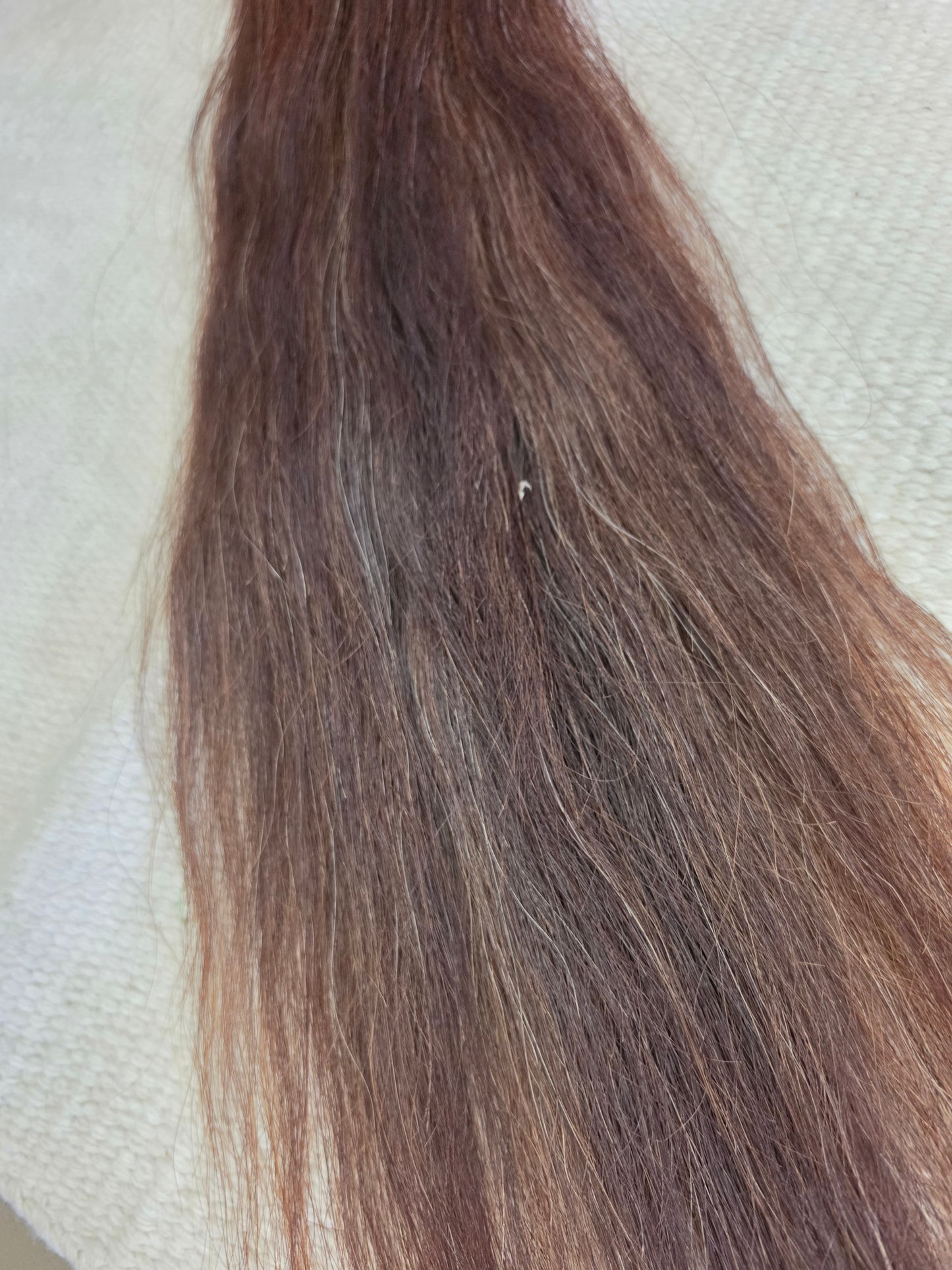 Sorrel Show Tail-No Grommets