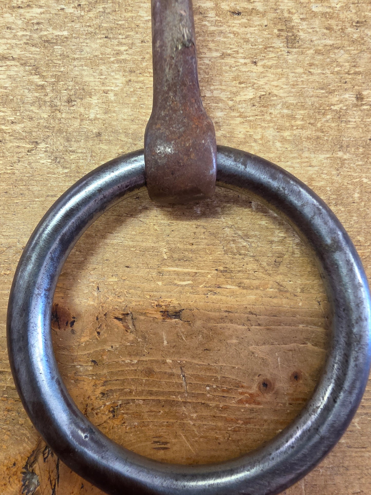 Heavy Ring Snaffle Bit