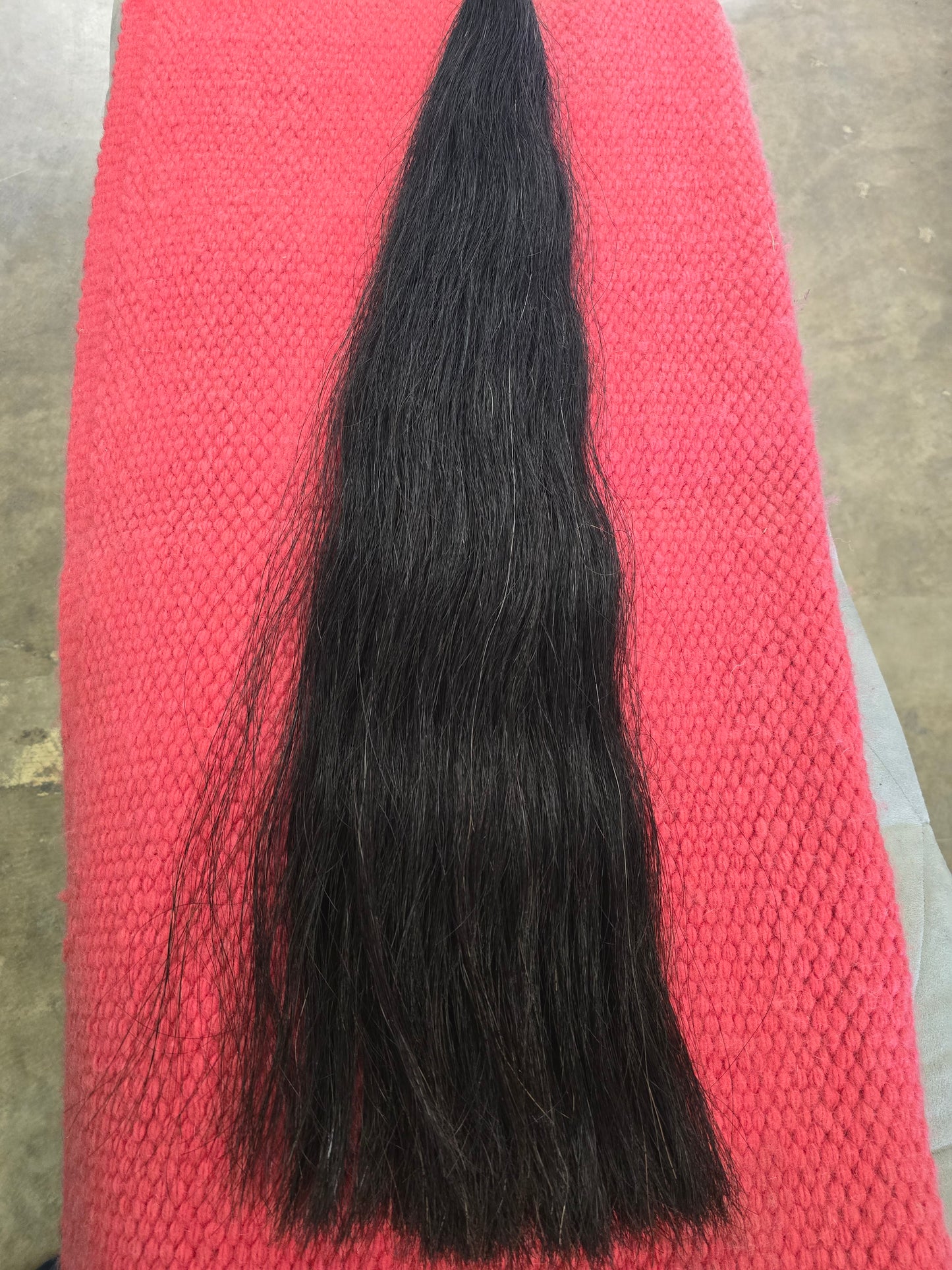 (1 Lb. ) Chestnut Show Tail