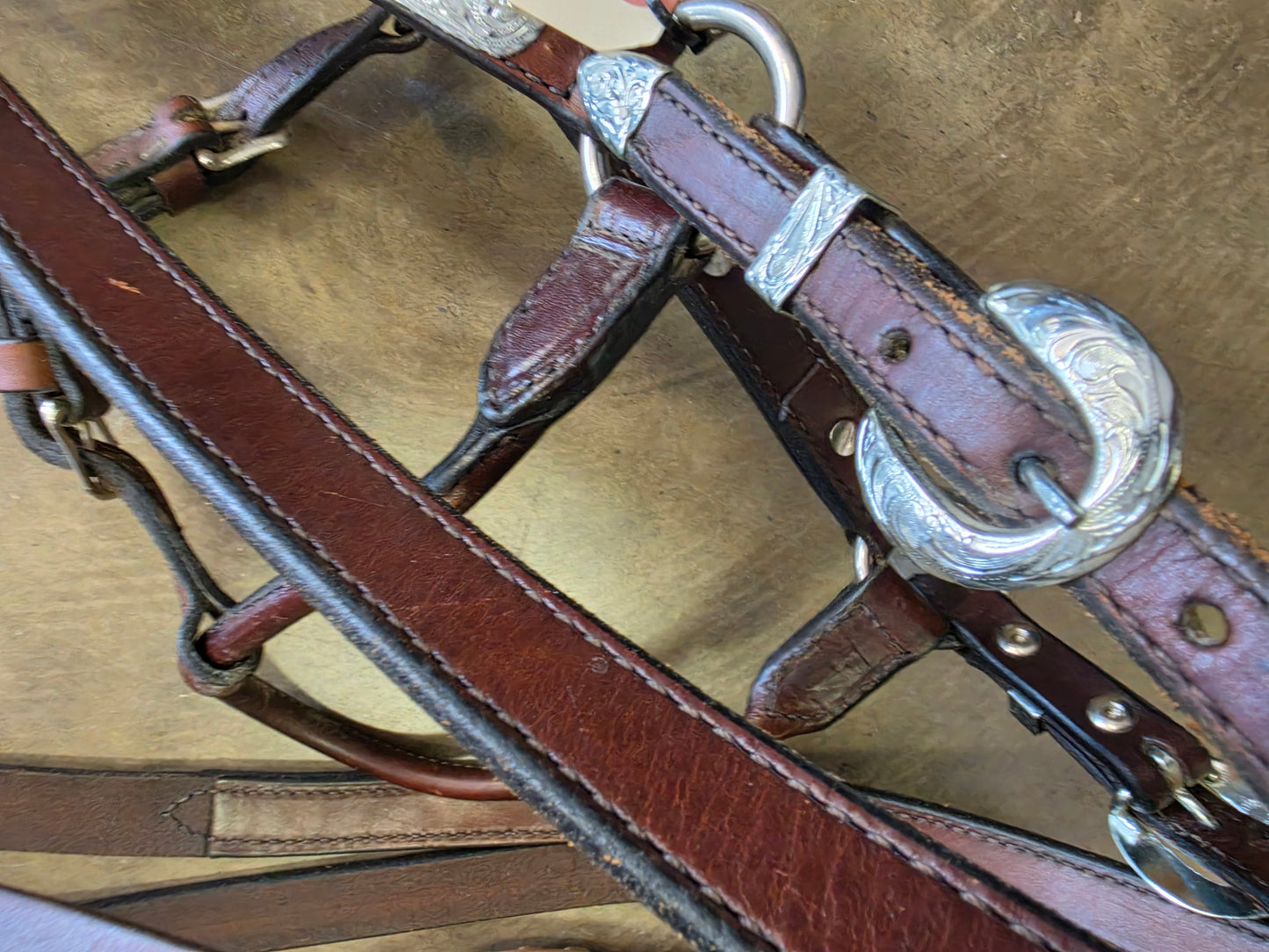 Leather Show Halter