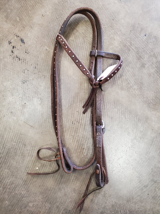 Futurity Knot Headstall/Dot Det.
