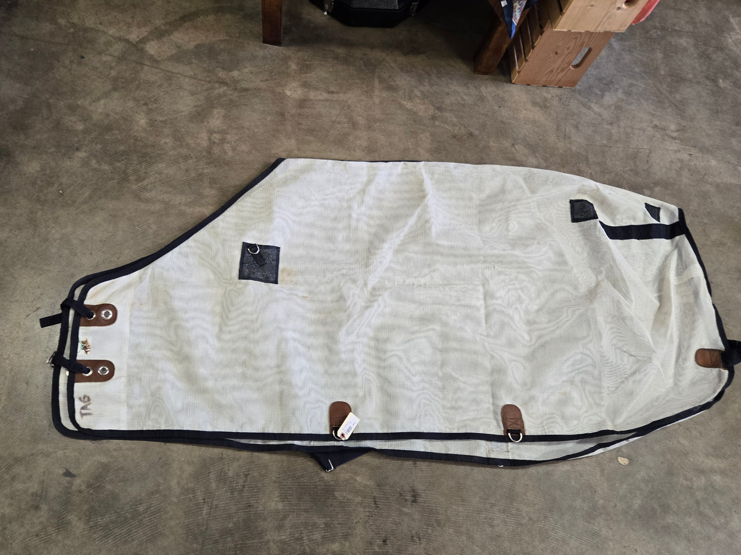 White Fly Sheet/ Navy Trim