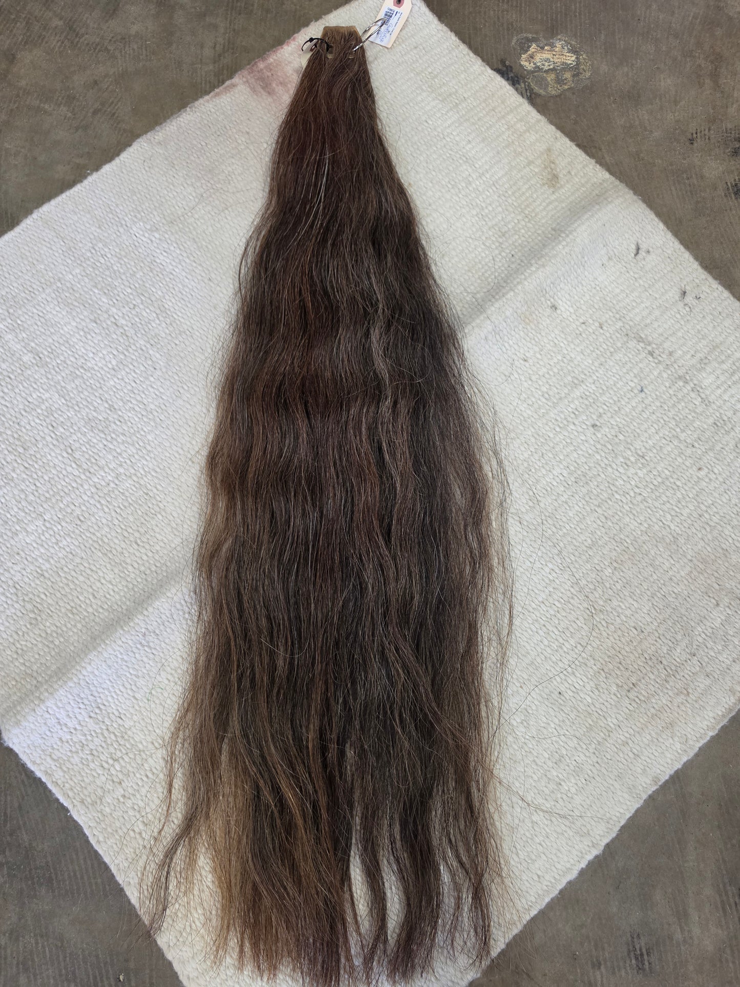 Sorrel Show Tail-Grommet Style